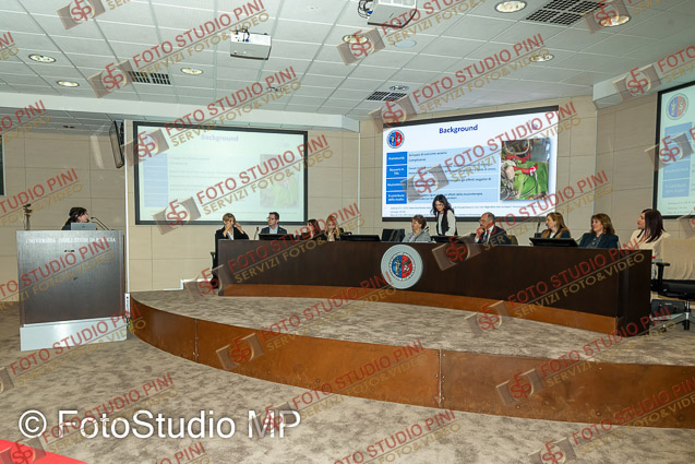 FSP_0056