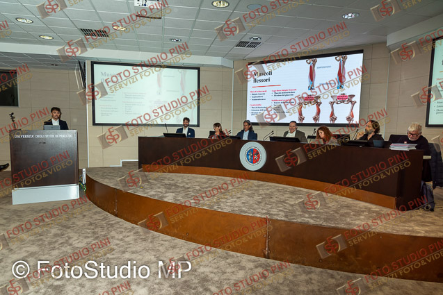 FSP_1341